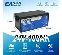 Batteria EASUN LiFePO4 12V 24V 100Ah Portatile a Ciclo Profondo per Campeggio, Viaggi, Pesca, Camper, Furgoni - Spedizione Veloce da Magazzino EU