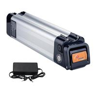 Batteria Ebike 36V 12Ah di ricambio per Phylion Zhenlong/ZL07010-F Trio MiFa Rex, XH259-10J batteria per bicicletta elettrica (36V 12Ah)