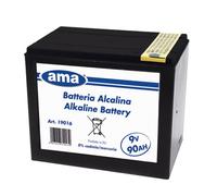 BATTERIA ELETTRIFICATORI RANCH V9 AH90