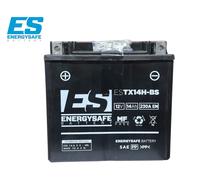 BATTERIA ENERGYSAFE ESTX14H-BS SIGILLATA PER TRIUMPH TIGER 900 EFI 1999-2000