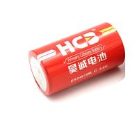 Batteria ER34615M Torcia D Litio 3.6V 14000mAh 14ah ALTA POTENZA