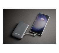 Intenso PowerBank S10000 10000 mAh Gris