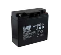 Batteria FIAMM Agm 12v 6v FG FGL FGH FGHL Piombo Ups Camper Allarme Fotovoltaico