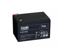 Batteria FIAMM Agm 12v 6v FG FGL FGH FGHL Piombo Ups Camper Allarme Fotovoltaico