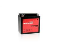 BATTERIA GEL MALOSSI YTX14-BS BMW R NINE T PURE 1200 2017-2024