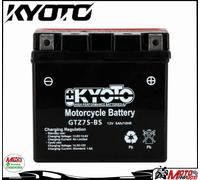 MaxiScooter YAMAHA 125 N-Max 2017 BATTERIA 7 YTZS-BS TECNIUM