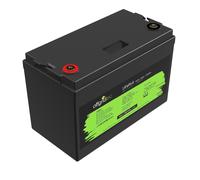 Batteria LiFePO4 1280Wh BMS integrata 25,6/50 25,6V 50Ah Offgridtec