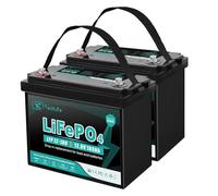 Batteria LiFePO4 12V 100Ah, Batteria al Litio Ricaricabile a Ciclo Profondo da 15000 con BMS da 100A integrato, Protezione Dalla Bassa Temperatura, Perfetto per Barche, Camper, Confezione da 2