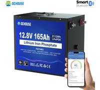 Batteria LiFePO4 12V/24V/48V 6Ah 24Ah 100Ah 200Ah Batteria al litio BMS per RV