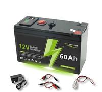 Batteria LiFePO4 12V 60Ah ricaricabile con caricatore - BMS integrato per giocattoli elettrici, impianti solari, fish finder e power wheels - 12,6V ingresso carica, 15×9,5×6,4 cm, 1,3 kg