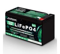 Batteria Lifepo4 da 12V 8 Ah con Oltre 3000 Cicli di Scarica Profonda Batteria Litio da 12 V per Energia Solare/Eolica, illuminazione, Pesce Rilevatore e Altro, con BMS da 10 A integrato