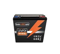 Batteria LiFePO4 da 24 V e 100-200 Ah con protezione BMS integrata da 200 A, ideale for camper, motori elettrici, pannelli solari, imbarcazioni marine fuori rete.(24V LiFePO4 200Ah)