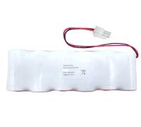 Batteria litio alcalina compatibile con allarme DUEVI DUEVI' batterie 3.6V 7.2V