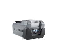 Batteria litio EFCO Bi 525 - 56 Volt 2.5Ah (idonea anche per 56V OLEO-MAC)