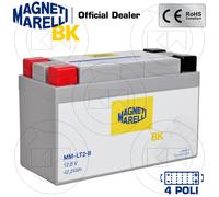 Batteria Litio MMLT2B con BMS,Misure: 150X65X93