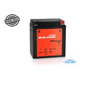 BATTERIA MALOSSI YB12AL-A2 GEL APRILIA Scarabeo GT 4T E3 125 2006-2007
