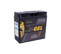 BATTERIA MOTO INTACT GEL 12V 21 AH 300 A 181x76x173 mm POSITIVO DX 51913