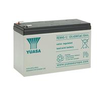 Batteria originale per YUASA REW45-12 originale