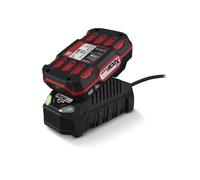 Batteria Parkside 20V 2 Ah E Caricabatteria PAP 20 B1 PLG 20 C1 20x Team X20V ✅