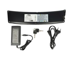 Batteria per Allegro Neocycle 36V 8,7Ah