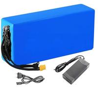 Batteria per Bici Elettrica 48V 30Ah, Batteria Ebike 48V 30000MAh BMS incorporato con Il Caricatore Impermeabile PVC per motore da 200W 350W 500W 750W 1000W Motore 48V 30Ah,XT60
