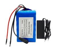 Batteria Per Ebike Da 24 V 20 Ah Con Protezione BMS, Batteria Per Scooter Elettrico, Pacco Batteria Agli Ioni Di Litio 7S3P Per Ebike Con Caricabatterie T+JST