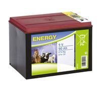 Euro Guard Batteria alcalina a secco per recinti elettrici 9 Volt 170 Ah