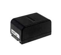 Batteria per Panasonic modello VW-VBS20E, 4,8V, NiMH