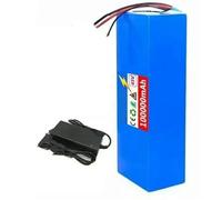 Batteria Per Scooter Elettrico 48V 100Ah 13S4P Batteria Al Litio Per Bici Elettrica Con Caricabatteria Scocca in PVC impermeabile BMS integrato per 50-800W 48V 100Ah,XT60+SM