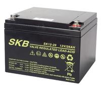 Batteria Piombo 12v 26ah Skb SKB 38642405