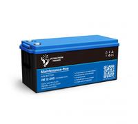 Batteria Piombo AGM piastra piana 150Ah 12V senza manutenzione | Ultimatron France