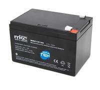 BATTERIA AL PIOMBO RICARICABILE 12V 12AH TERMINALE FASTON 6.3MM - L'ELETTRICA BA