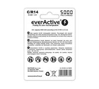 BATTERIA RICARICABILE EVERACTIVE EVHRL14-5000