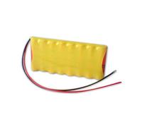 Batteria Ricaricabile Ni-Mh 9,6V 1300mAh per Porte Automatiche DORMA