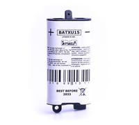 Batteria sistema d'allarme BATSECUR BATXU15 3V 3Ah
