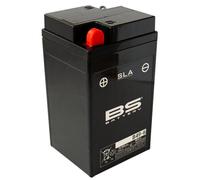 Batteria SLA BS Battery B49-6 6V 10,5Ah