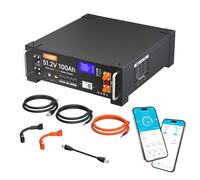 Batteria solare LiFePO4 da 48 V, 100 Ah, supporta la comunicazione con inverter, BMS 100 A integrato con Bluetooth, potenza di uscita max. 5120 W, oltre 6000 cicli, ideale per sistemi fuori grid,