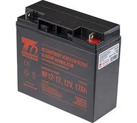 Batteria T6 Power per NP12-17, 12V, 17Ah
