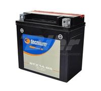 BATTERIA TECNIUM BTX14-BS 12V 12AH COMPATIBILE CON YTX14-BS
