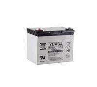 Batteria UPS ciclica ricaricabile YUASA REC36-12 12V 36AH