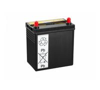 YUASA HJ-S34B20R Batteria 12V 35Ah 272A B20 per TOYOTA Yaris Schrägheck (P13)