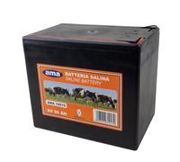 Ama Batteria per recinto elettrico: Batteria per elettrificatore da 9 V, 90 A, Composta in zinco-carbone