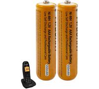 Batterie AAA Ricaricabili 550mAh 1,2V per Telefoni Cordless Gigaset Panasonic