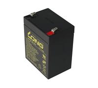 BATTERIE AL PIOMBO KUNG LONG WP2.9-12T, Piombo, 2900 mAh, 12 V