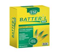 Batteril 900
