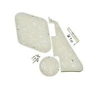 Battipenna per Chitarra Elettrica Battipenna per chitarra Coperchio posteriore Piastra posteriore Piastra interruttore e viti staffa in acciaio al nichel per chitarra elettrica for For LP (Color : Ag