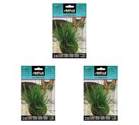 Battle - Semi Aromatici Erba per Gatti (Semi - 10-15Cm) (Confezione da 3)