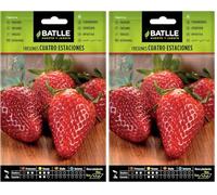 Battle - Semi Aromatici Fragole 4 Stagioni (Piante 10 x15 Cm) (Confezione da 2)