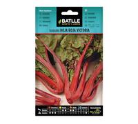 Battle - Semi Aromatici Rabarbaro Foglia Rossa (Semi - 40-60Cm)