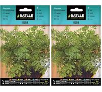 Battle - Semi Aromatici Ruta (Semi - 50Cm) (Confezione da 2)